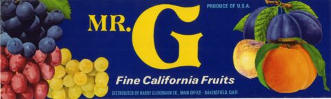 Mr. G